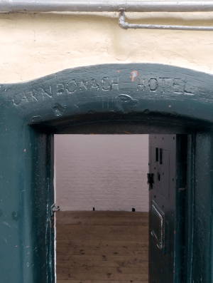 a bird sitting on the side of a building
