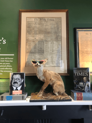 a fox sitting in sunglasses
