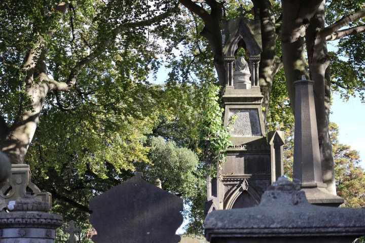 a statue in front of a tree