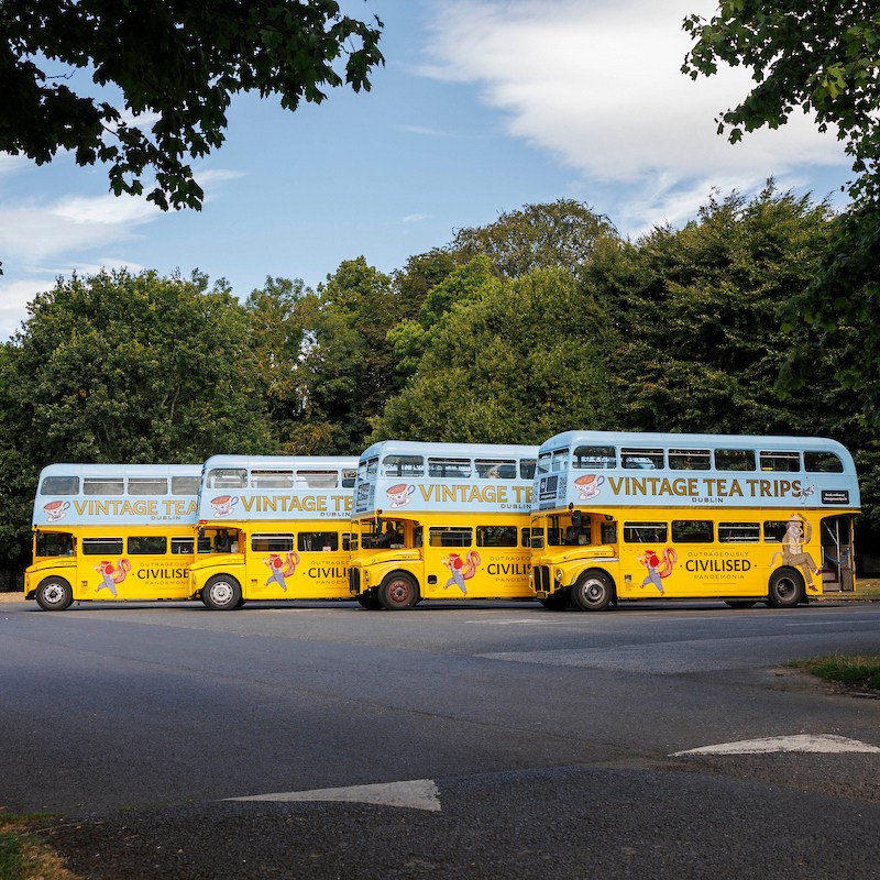 Four vintage tea trips double-decker buses parked in a tree-lined area.