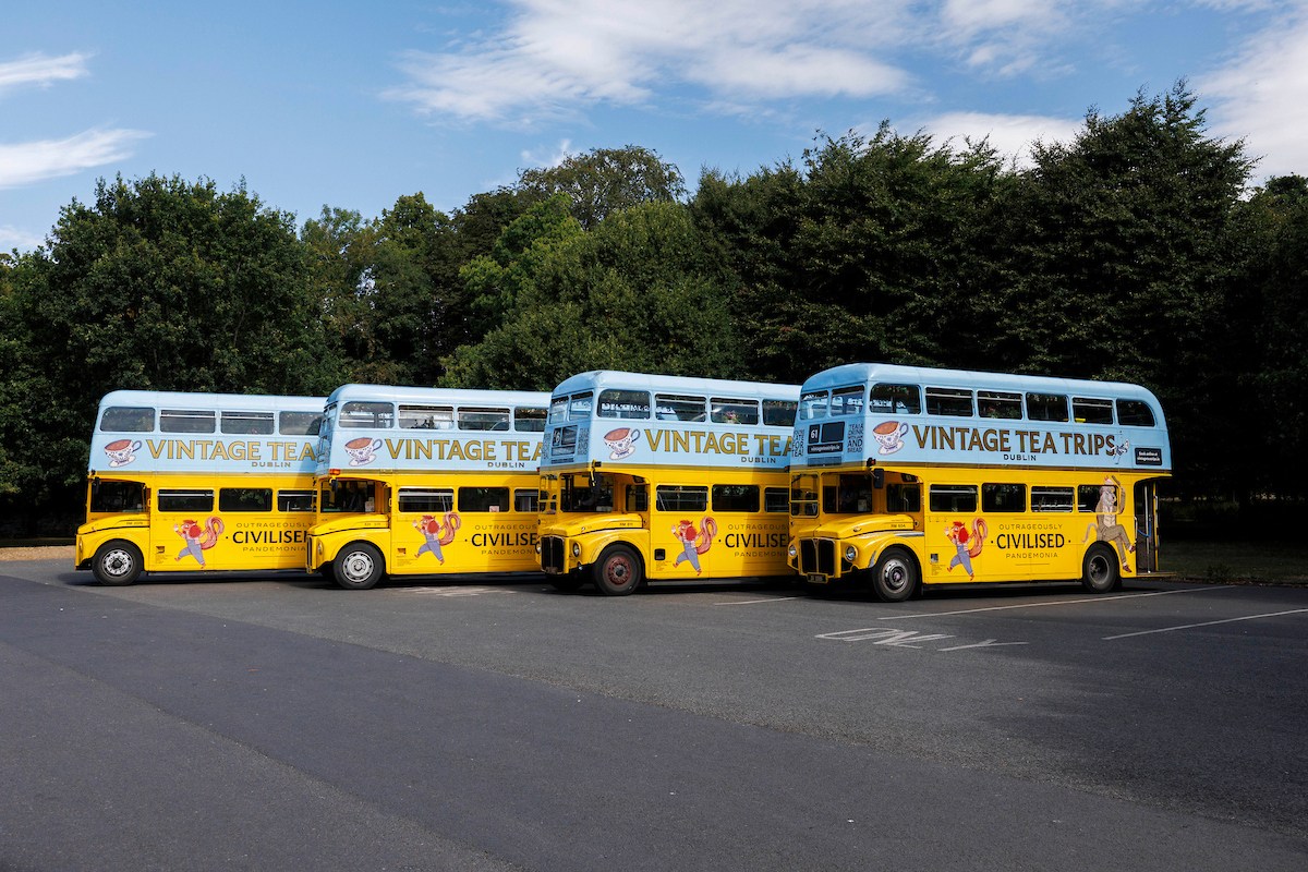 Four vintage double-decker buses with blue tops parked in a row, advertising 'Vintage Tea Trips'.
